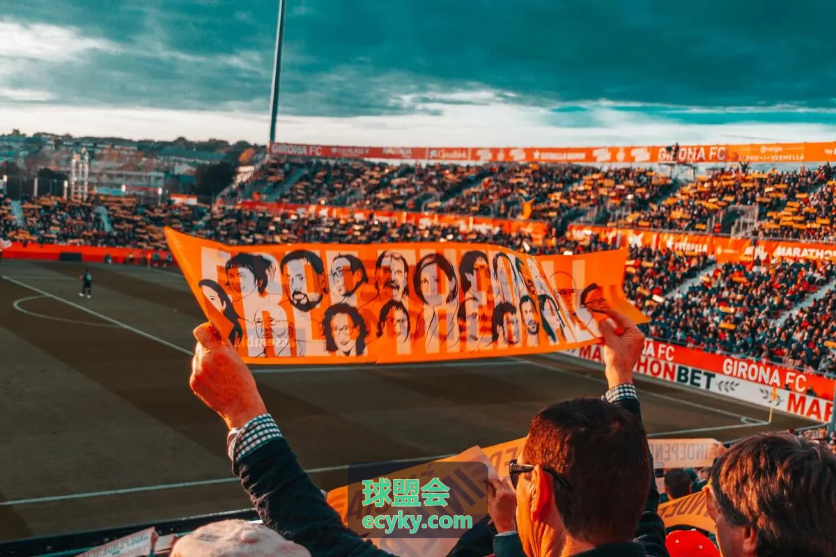 球盟会数据平台